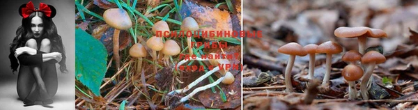 кокаин колумбия Липки