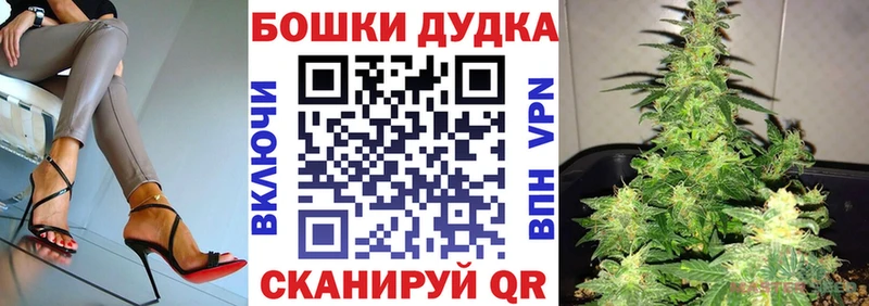где можно купить наркотик  Опочка  Каннабис план 